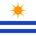 Bandeira de Palmas